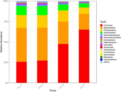 Physicochemical property, bacterial diversity, and volatile profile during ripening of naturally fermented dry mutton sausage produced from Jianzhou big-eared goat